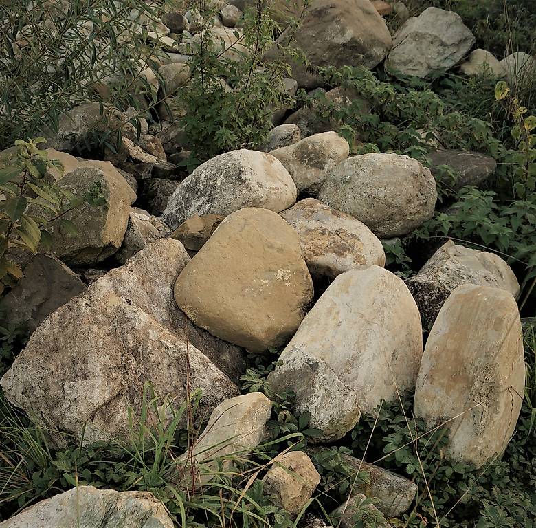 Steine Flusssteine Geröll Findling für Mauer oder Garten in Thurgau