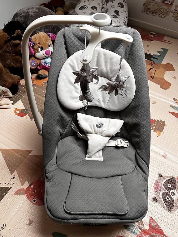 hundetraining halsband vibration Mit Kindern im Home Office arbeiten - meine Tipps und Erfahrungen mit der  elektrischen Wippe Serina 2in1 main image 0