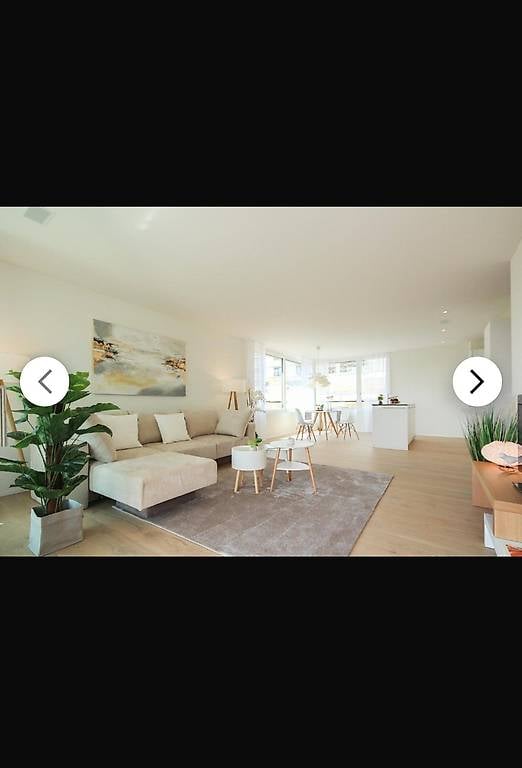 Moderne 3.5 Zimmer EG-Wohnung in Merenschwand