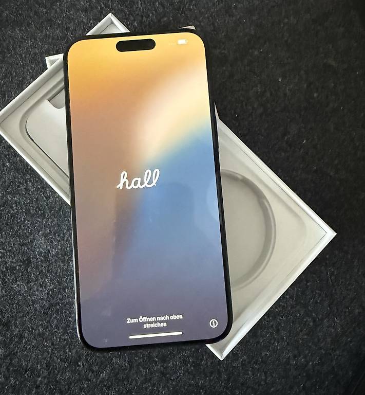 iPhone 15 Pro Max 256 GB | top Zustand! im Kanton Basel-Stadt