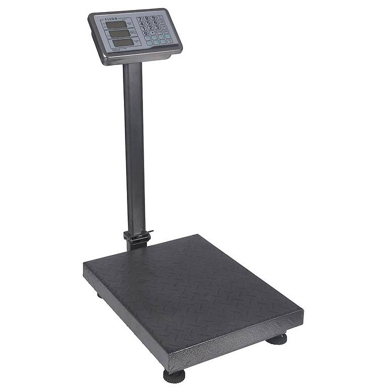 Plattformwaage digital 300 kg / 50 g im Kanton Bern