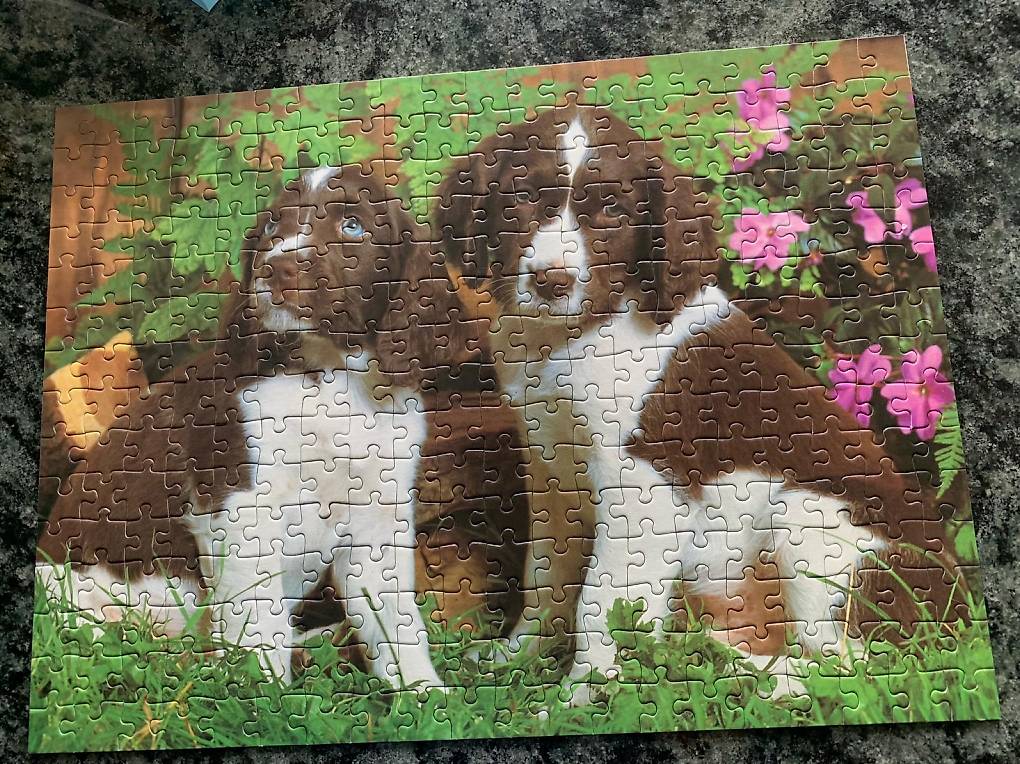 Ravensburger Puzzle „Süße Welpen“ – Bis 100 Teile, Für Kinder Ab 3 Jahren, Fertiges Bild 49x36 Cm