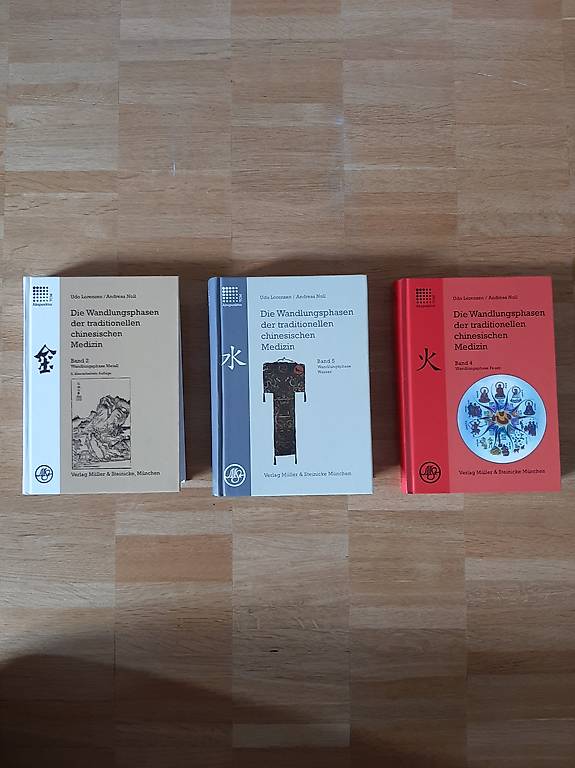 Die Wandlungsphasen der traditionellen chinesischen Medizin im Kanton ...