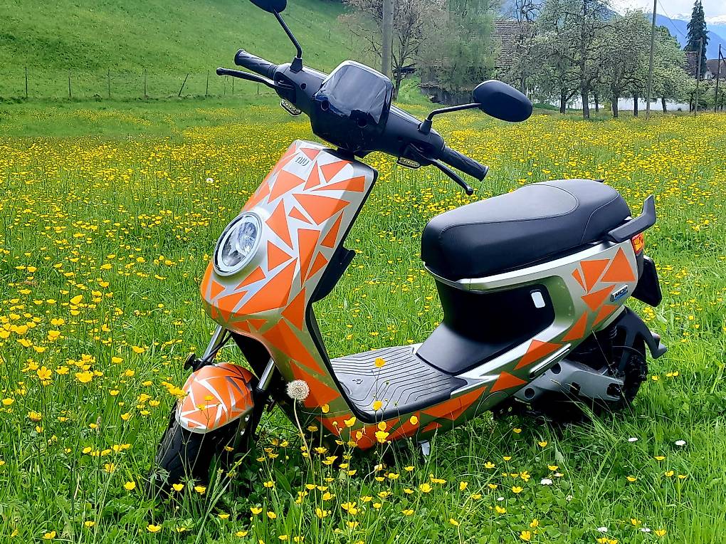 Roller Mit Groen Rdern