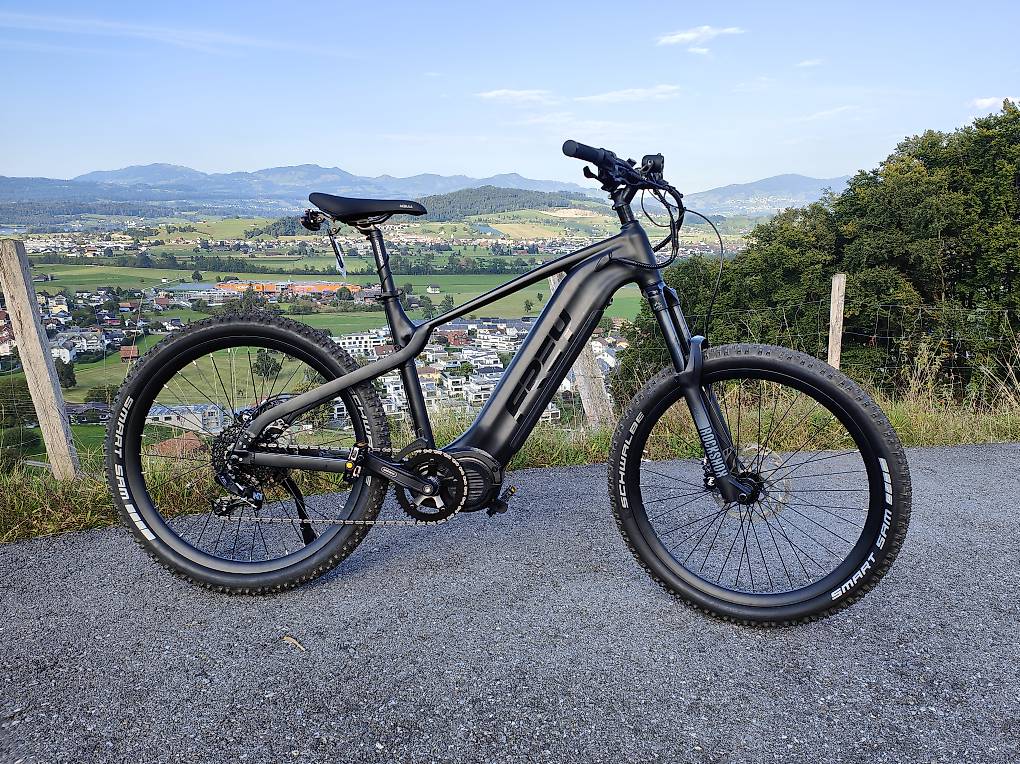 Spannende Ebike Herren 45 Kmh Bild