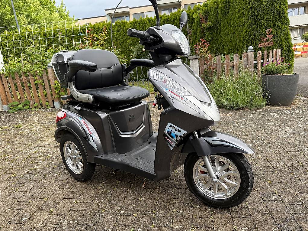 Elektro Dreirad 25 km/h im Kanton Aargau