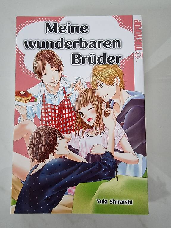 Manga Meine wunderbaren Brüder im Kanton Thurgau tutti.ch