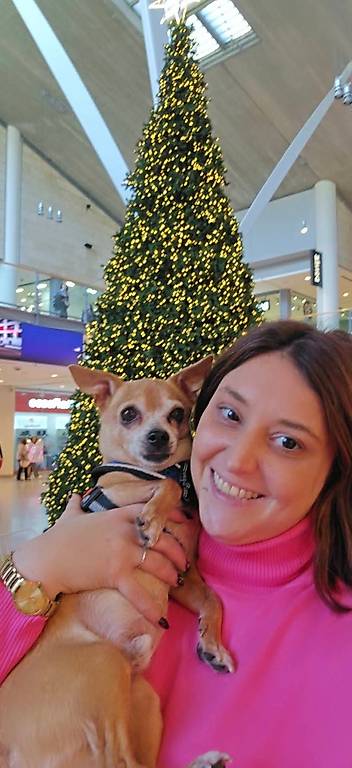 Dogsitterin mit Herz im Kanton Aargau