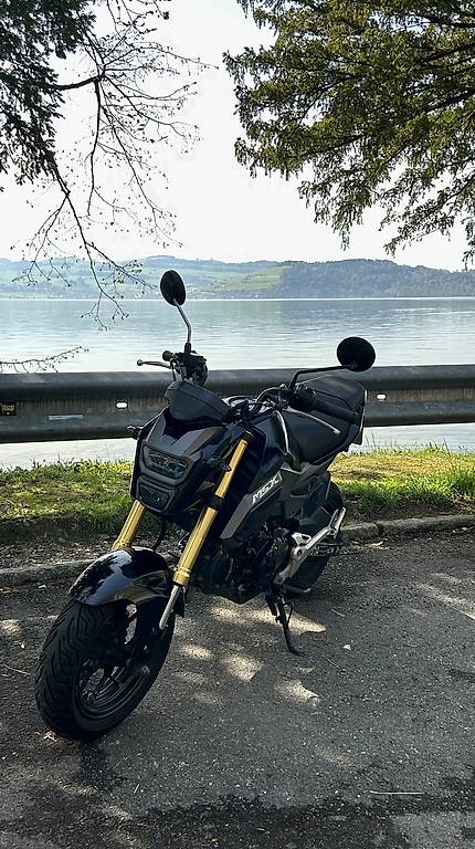 Honda Msx 125 im Kanton Basel-Landschaft