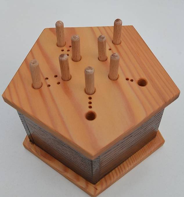 Würfelspiel "Die Sechs gewinnt" im Kanton Zürich - tutti.ch