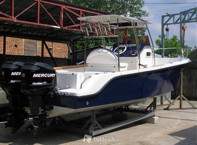 Motorboot Konsolenboot 7,5 Kevlar