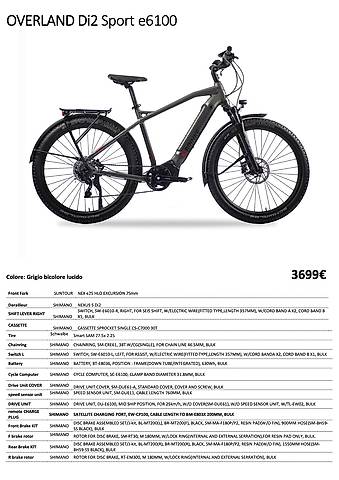 Bicicletta elettrica E-Bike Brinke G.2 anni FR82,40X60 rate in Tessin  kaufen - Eligio - tutti.ch