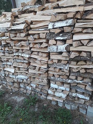 Chemineeholz birke in Bern kaufen - tutti.ch