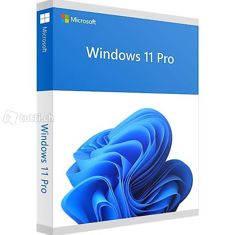 Windows 11 Professional oder Home