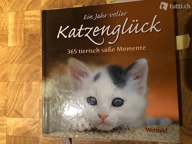 Buch Katzenglück