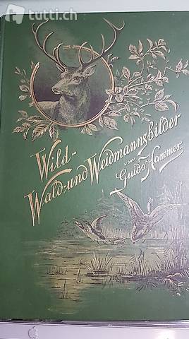 Wild Wald und Waldsmannbilder Jäger Freund