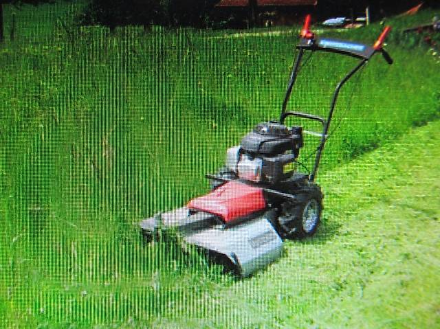 Mulchmäher, Allesmäher, Hochgrasmäher mit Mulchfunktion in Bern kaufen
