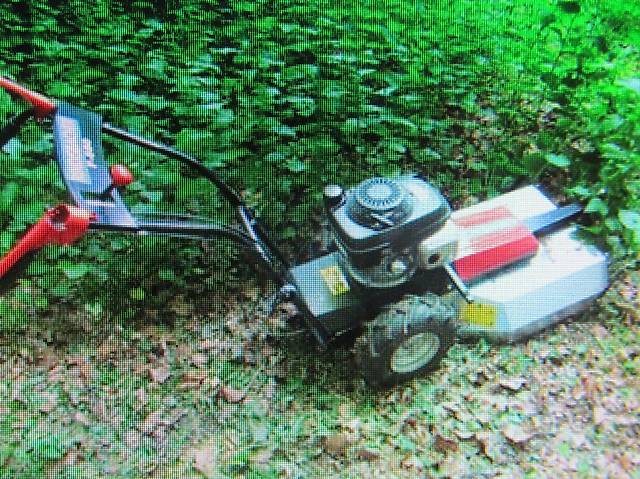Mulchmäher, Allesmäher, Hochgrasmäher mit Mulchfunktion in Bern kaufen