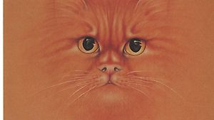 Katzen Postkarte Rot gestromter Perser
