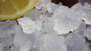 Gut und gesund: Wasserkefirkristalle, 50g, BIO