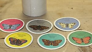 Bierteller / Bierdeckel Schmetterlinge aus dem Calanda Land