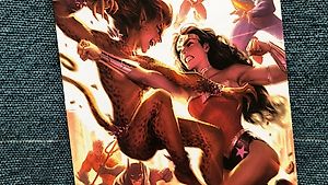DC Comic Wonder Woman gegen Cheetah 