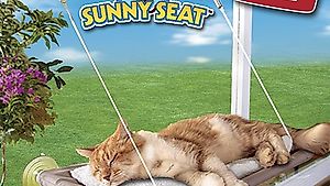 Fenêtre Chats pont soleil Sunny Cat chat