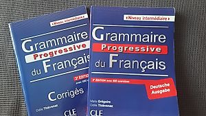 Buch KV Profil M Französisch Grammatik