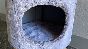 Petrebels Katzenhöhle