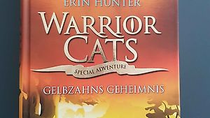 Fantasy-Buch - Warrior Cats - Gelbzahns Geheimnis