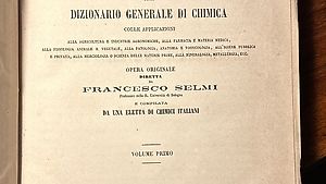 Enciclopedia 1868 francesco selmi