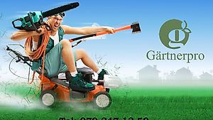 Gartenpflege / Gärtner / Gartenunterhalt / Terrassenpflege