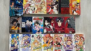 Manga Sammlung Auflösung 