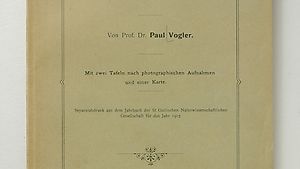 Vogler, Paul. Die Eibe (Taxus baccata L.) in der Schweiz.