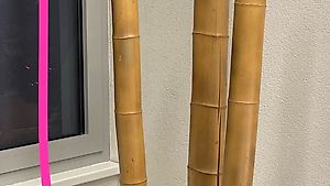 Bambus Deko
