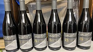 Donatsch Collection Privée Pinot Noir