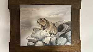 Peinture marmotte