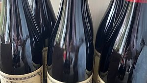 Burgunder Wein Louis Jadot Pommard 2019