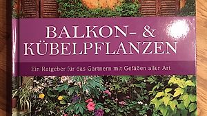 Buch Wissenswertes über Balkon und Kübelpflanzen