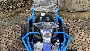 ATV Quad Buggy 1000 Watt HIGHPER jetzt
