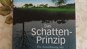 "Das Schatten-Prinzip" von Rüdiger Dahlke