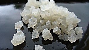 Kefir / Wasserkefir / Japankristalle