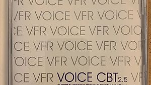 CD für Training VFR Voice