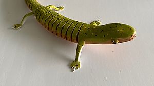 Gecko aus Holz mit beweglichen Körper. Lizard