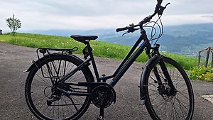 Bergamont Horizon City Bike