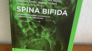 Spina Bifida 