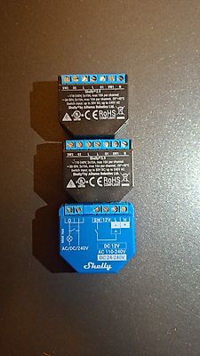 3x Shelly abzugeben